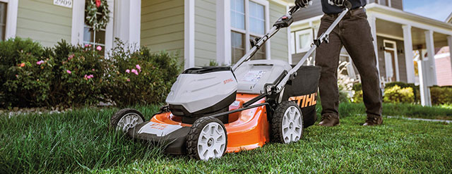 MTD