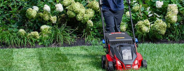 Toro Mowers